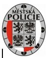 mestska_policie